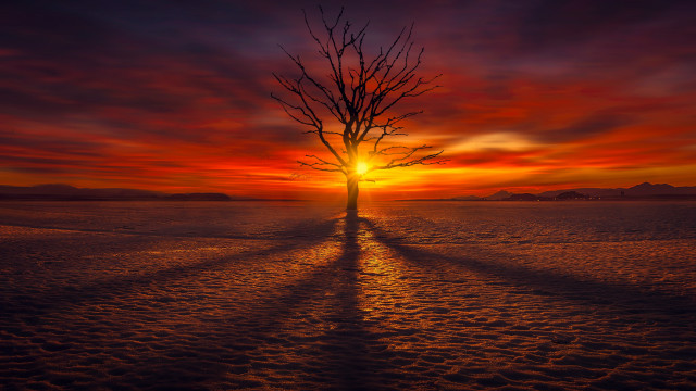 Sunset tree shadow cityscape mountain free wallpaper - medium preview image