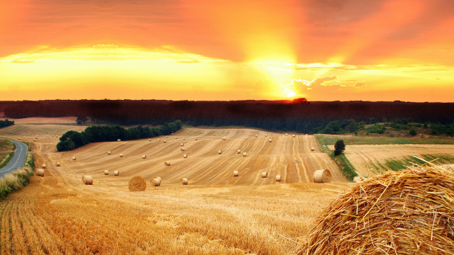 Hayfield sunset road bales landscape free wallpaper - medium preview image