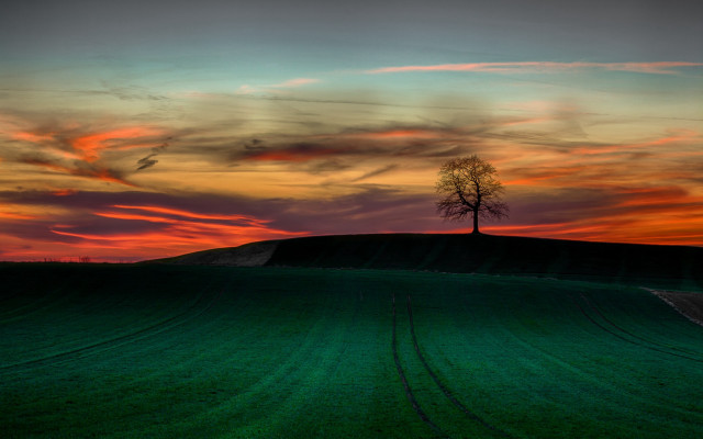 Lone tree hill sunset mountains free wallpaper - medium preview image