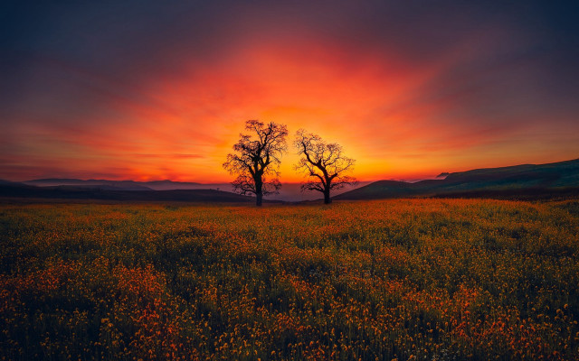Sunset mountain lake tree sky free wallpaper - medium preview image