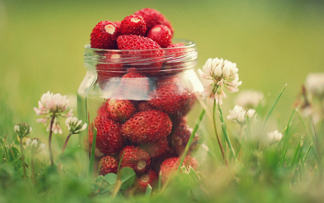 Strawberry jar green field flowers free wallpaper - medium preview image