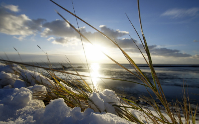 Sunshine clouds beach grass snow free wallpaper - medium preview image