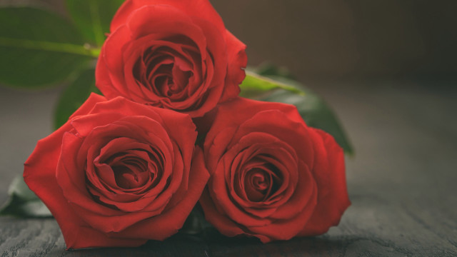 Red roses bouquet flower still free wallpaper - medium preview image