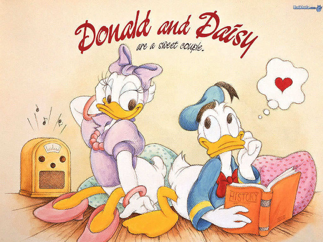 Donald daisy reading book dog free wallpaper - medium preview image