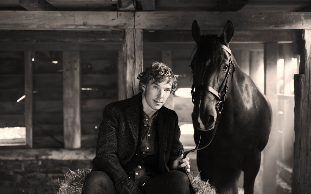 Man sitting hay bale horse free wallpaper - medium preview image