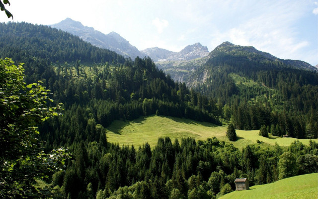 Green valley cabin mountains trees free wallpaper - medium preview image