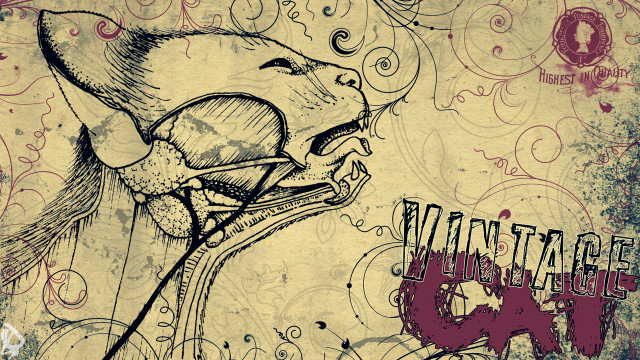 Dog mustache name tag chest free wallpaper - medium preview image