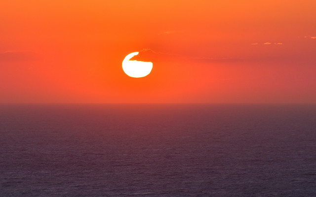 Sunset bird plane ocean sky free wallpaper - medium preview image