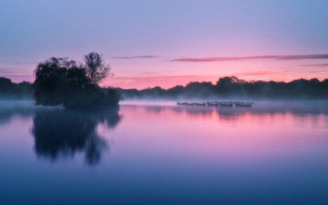 Lake boat fog dusk trees free wallpaper - medium preview image