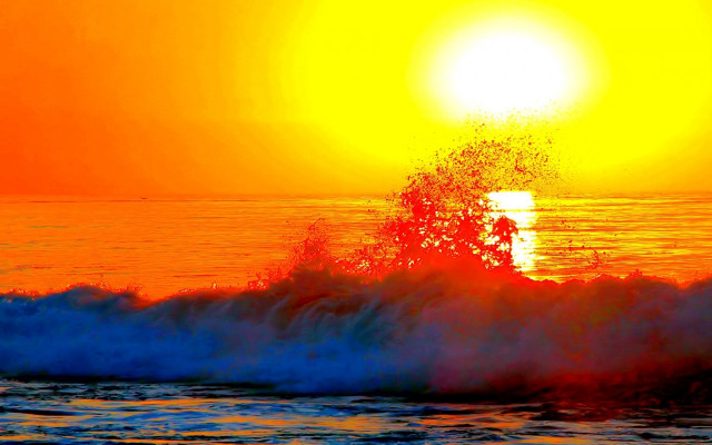 Sunset wave tree orange sky free wallpaper - medium preview image