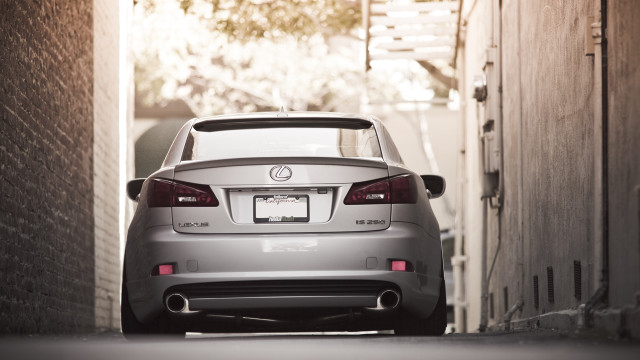 Narrow alleycar tree person vroom free wallpaper - medium preview image