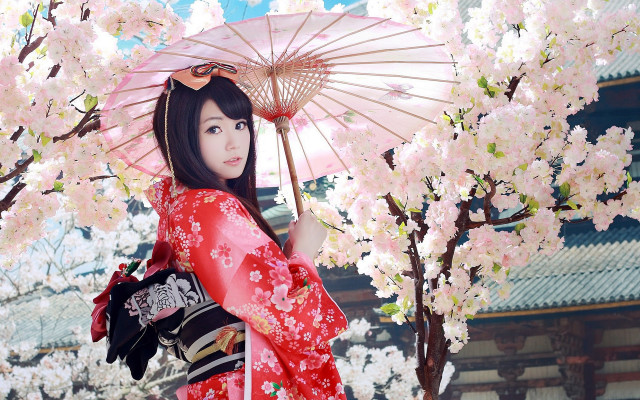 Kimono pink umbrella cherry blossoms free wallpaper - medium preview image