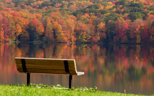 Lake bench autumn leaves forest free wallpaper - medium preview image