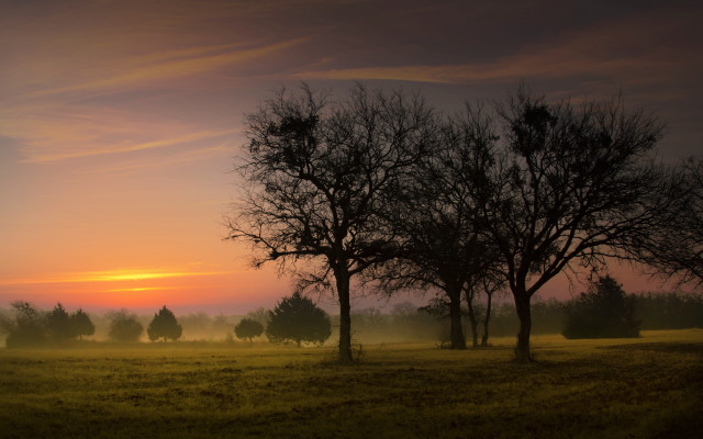 Sunset trees lake mountain clouds free wallpaper - medium preview image