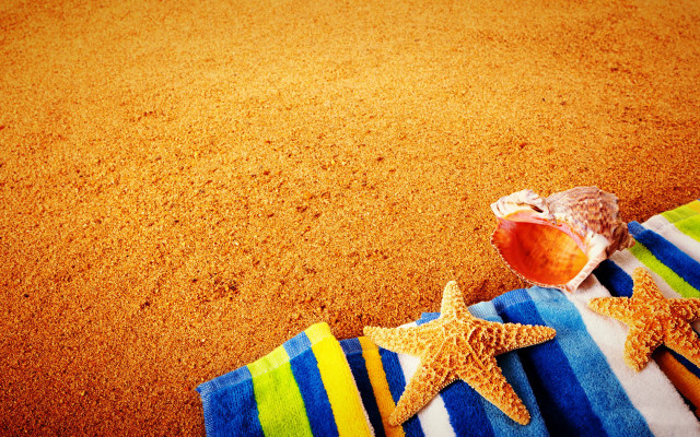 Starfish towel beach shell summer free wallpaper - medium preview image