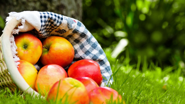 Basket apples grass checkered cloth free wallpaper - medium preview image