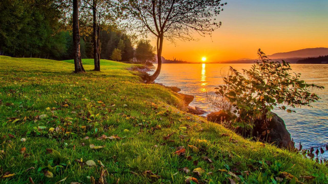 Sunset lake trees grass hill free wallpaper - medium preview image