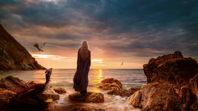 Woman rock beach sunset bird free wallpaper - medium preview image
