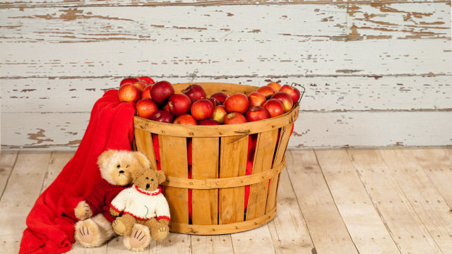 Teddy bear basket apples wooden free wallpaper - medium preview image