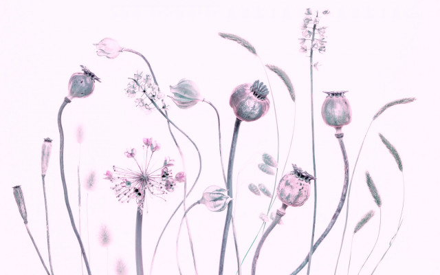 Flowers vase table branch pink free wallpaper - medium preview image