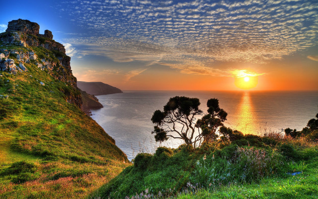 Sunset water cliff tree city free wallpaper - medium preview image