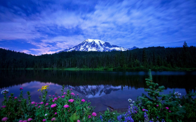 Mountain lake wildflowers blue sky free wallpaper - medium preview image