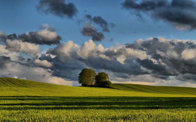 Field tree clouds sunset mountain free wallpaper - medium preview image