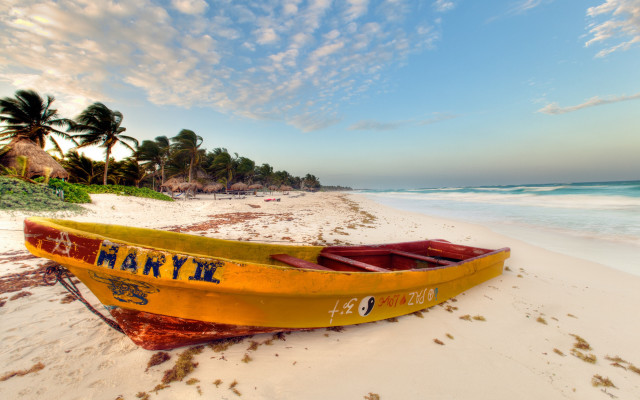 Yellow boat beach ocean palm free wallpaper - medium preview image