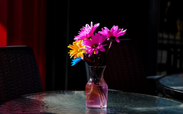 Vase flowers table window red free wallpaper - medium preview image