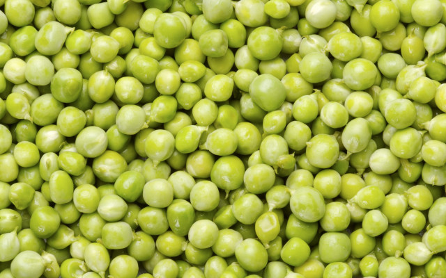 Peas water droplets green background free wallpaper - medium preview image