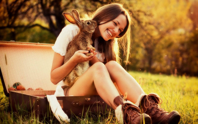 Alice prin whimsical rabbit suitcase free wallpaper - medium preview image