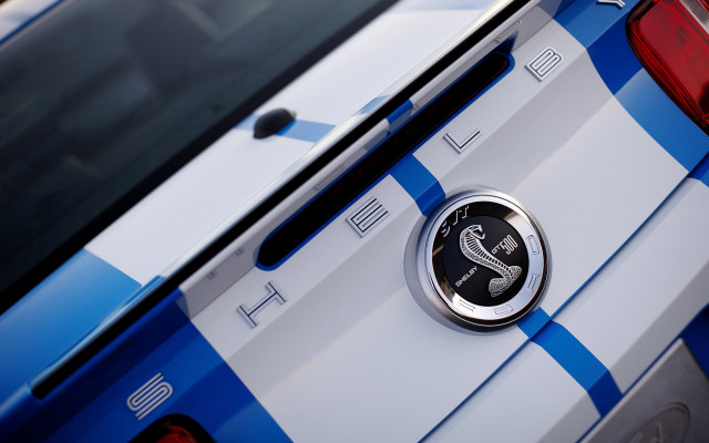 Police car badge snake emblem free wallpaper - medium preview image