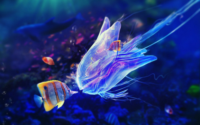Fish jellyfish aquarium blue holography free wallpaper - medium preview image