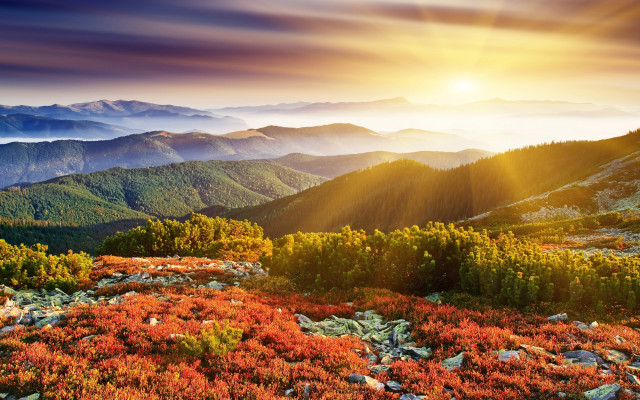 Mountain range sunset autumn leaves free wallpaper - medium preview image
