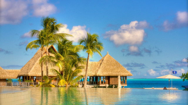 Resort pool palm trees beach #3 free wallpaper - medium preview image