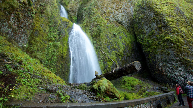 Waterfall fallen tree people standing free wallpaper - medium preview image