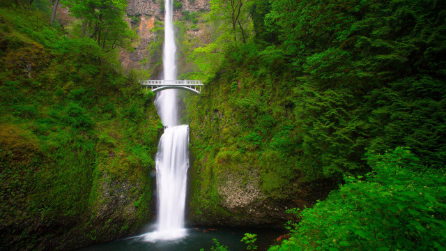 Waterfall bridge river forest nature #2 free wallpaper - medium preview image