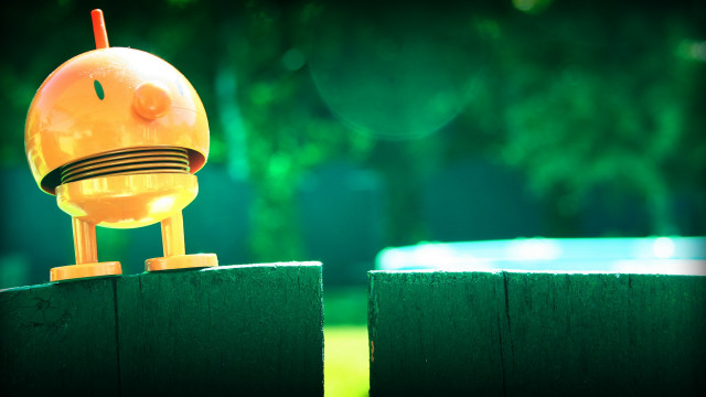 Yellow toy fence pool trees free wallpaper - medium preview image