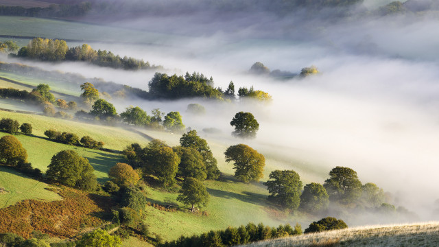 Foggy valley trees grass clouds free wallpaper - medium preview image