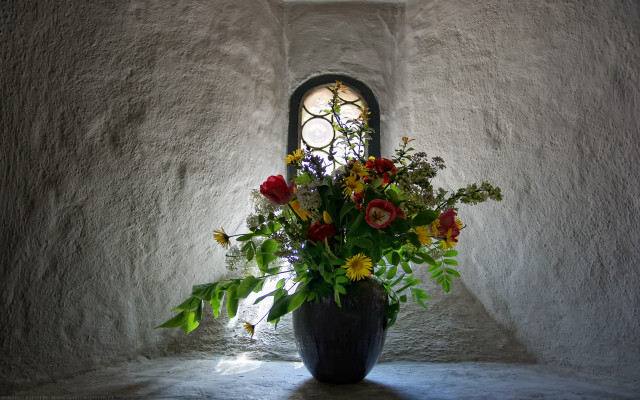 Vase flowers room window light free wallpaper - medium preview image