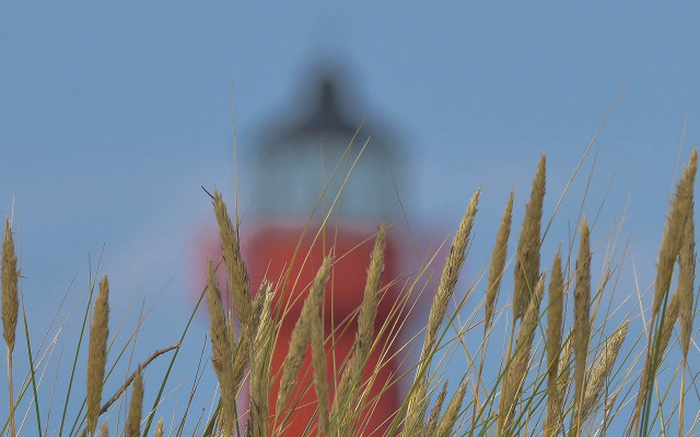 Red lighthouse tall grass blue free wallpaper - medium preview image