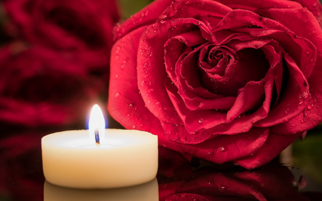 Candle rose water droplets reflection free wallpaper for desktop - medium preview image