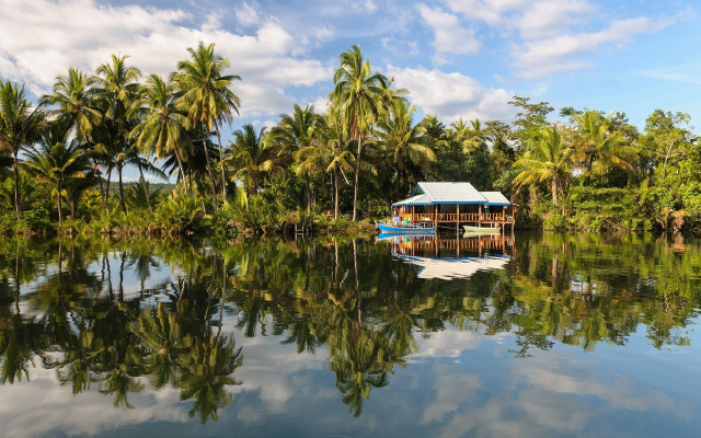 Boat water house lake palm free wallpaper - medium preview image