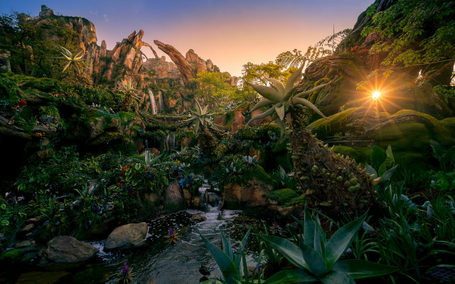 Tropical jungle sunset stream matte free wallpaper - medium preview image