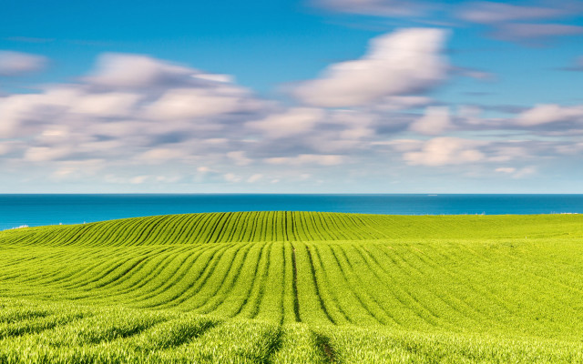 Green field water clouds landscape free wallpaper - medium preview image