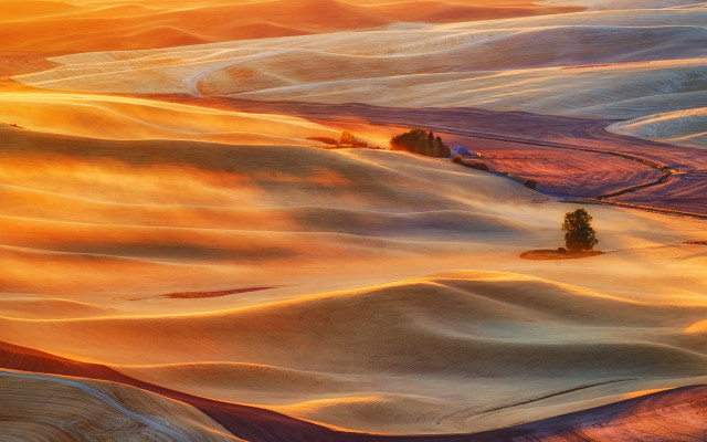 Sunset hills trees orange sky free wallpaper - medium preview image