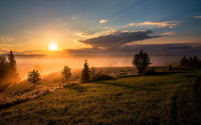 Sunset field trees fog clouds free wallpaper - medium preview image
