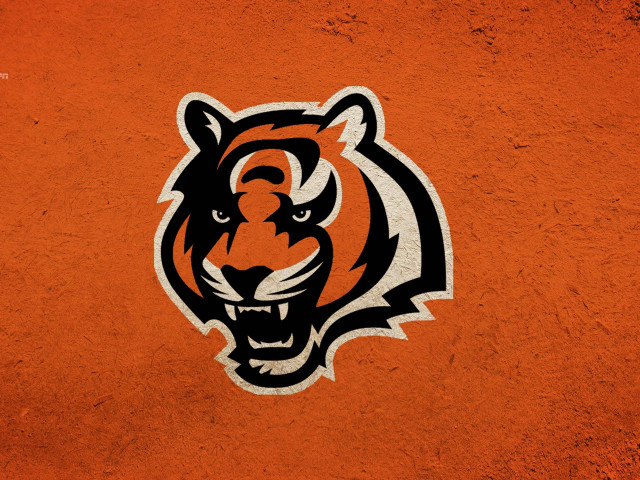 Tiger head wall black orange free wallpaper - medium preview image