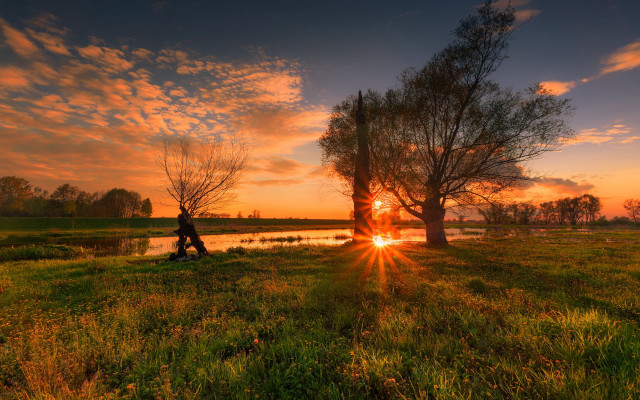 Sunset bench field tree magic free wallpaper - medium preview image