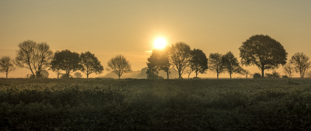 Foggy sunset mountain lake trees free wallpaper - medium preview image